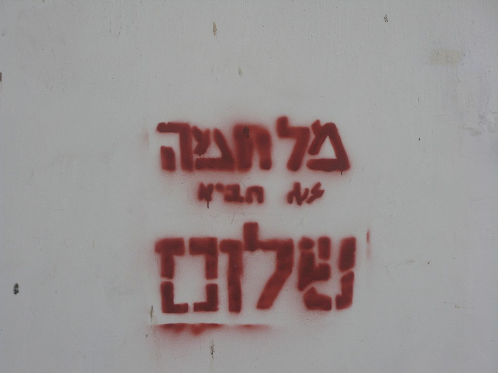 גינת רות 12-1-13 (4)