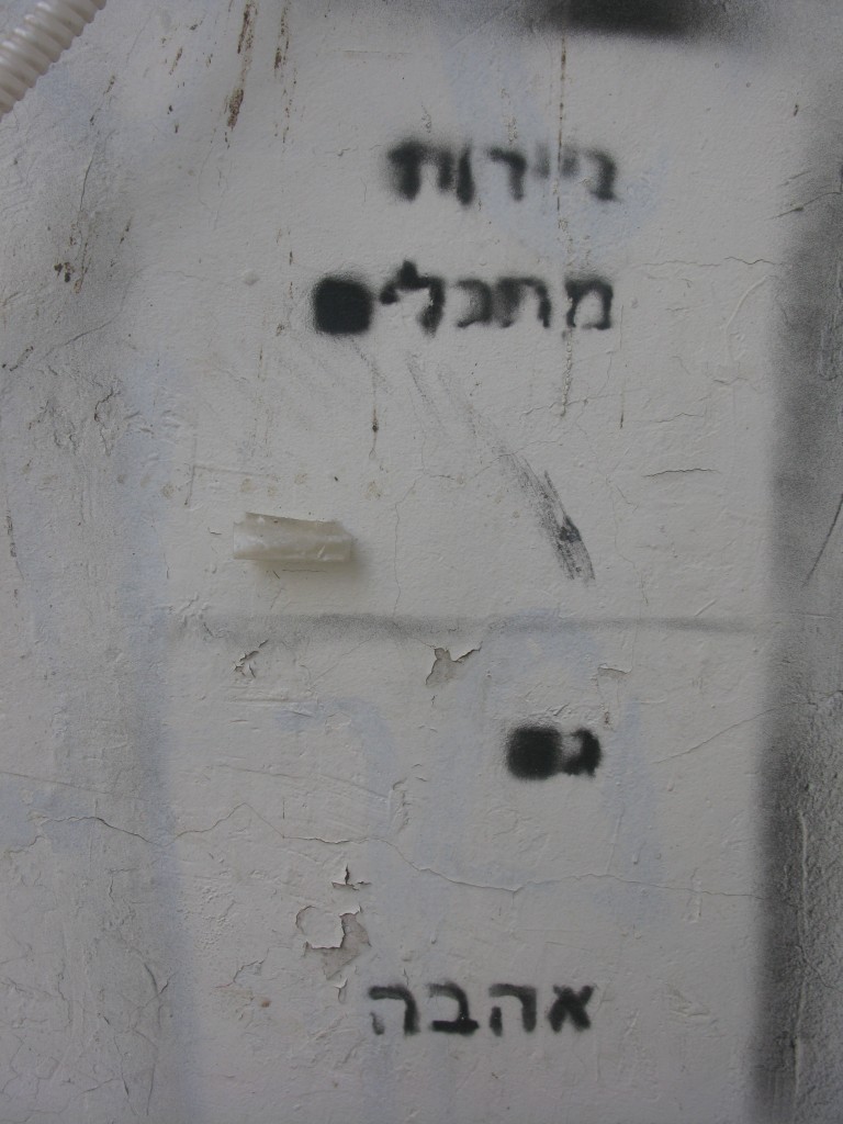 ניירות מתכלים גם אהבה שנקין מרץ 2013