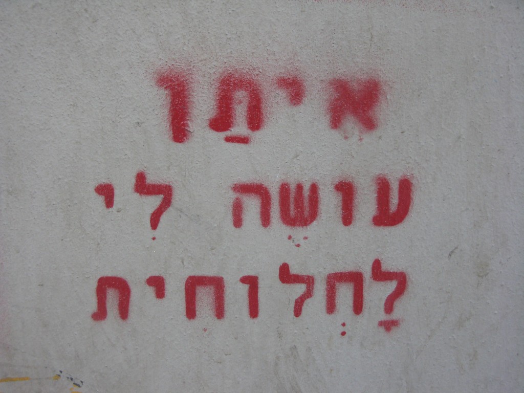 ש המלך ינואר 13 (3)