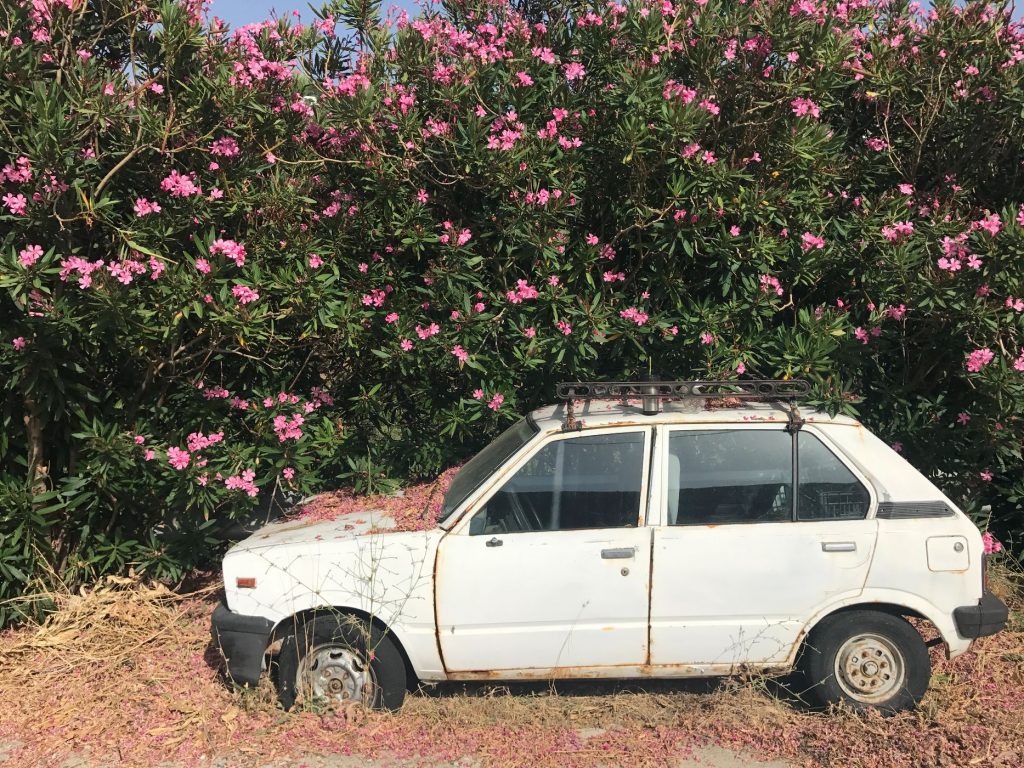 בטרמפים, בדרך אל החוף, בצפון איקריה (2)