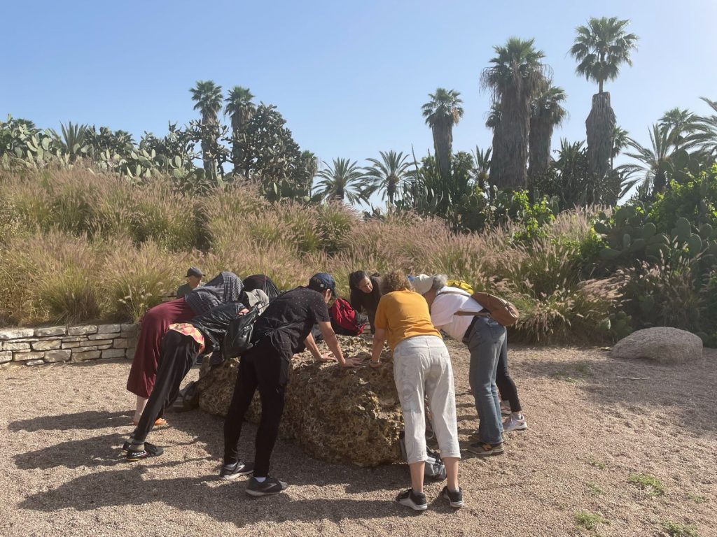 משחקי הליכה בפרק הירקון