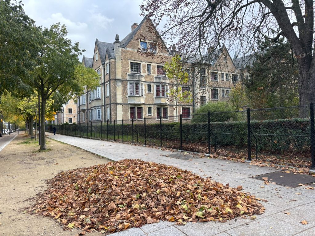 הסיטה האוניברסיטאית הבינלאומית של פריז